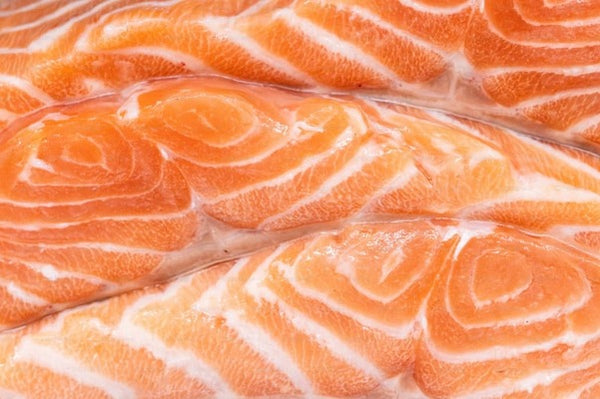 Farmed Sockeye Salmon
